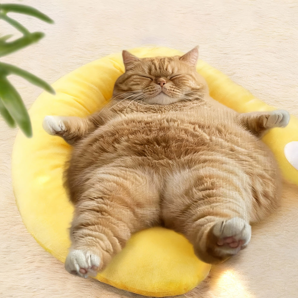 Plush Pet Pillow with Washable Half-Donut Design – Cozy Bed for Cats & Dogs